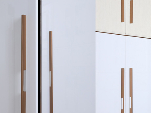 明裝拉手系列 明裝拉手系列